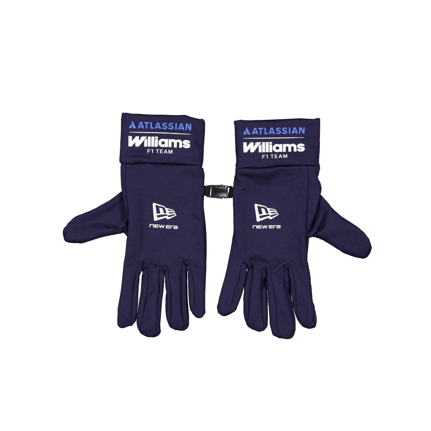 Atlassian Williams F1 Team Team Line Gloves Hat